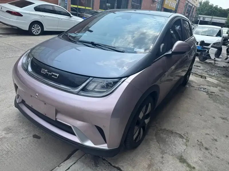 BYD Dolphin