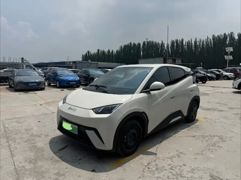 BYD Seagull