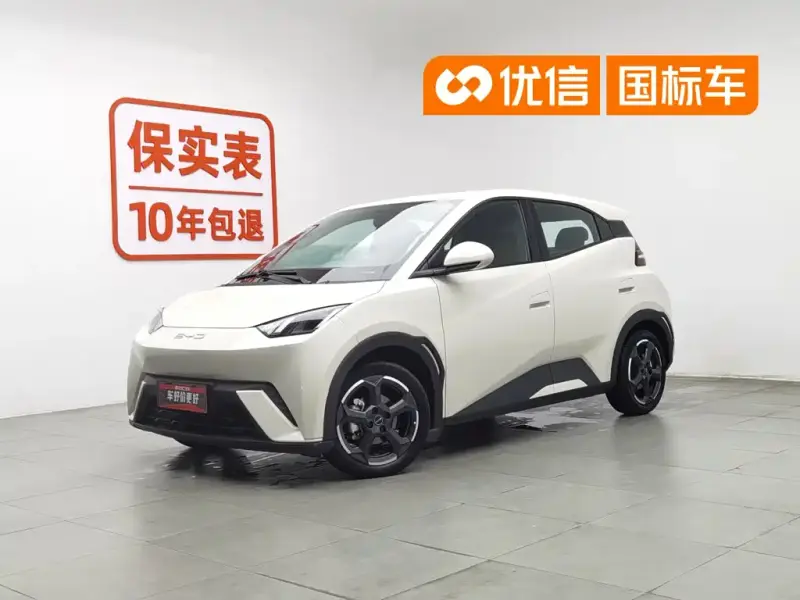 BYD Seagull