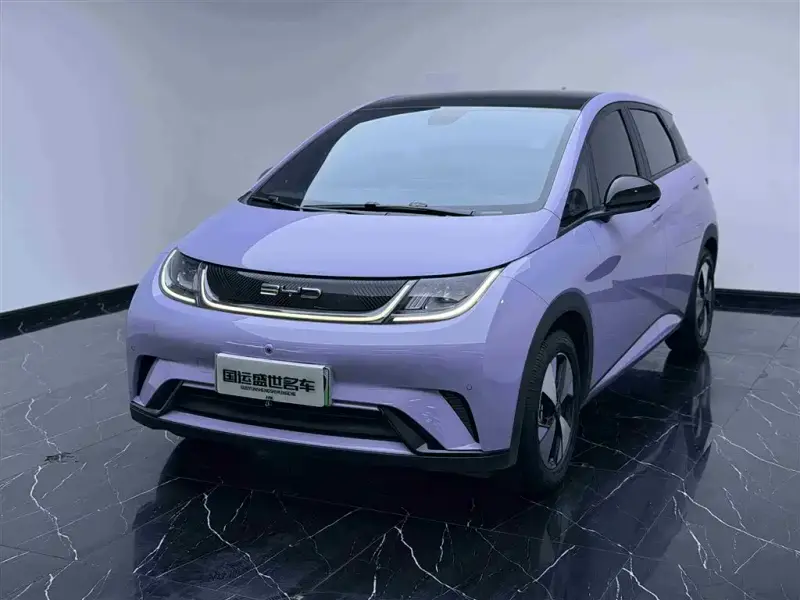 BYD Dolphin