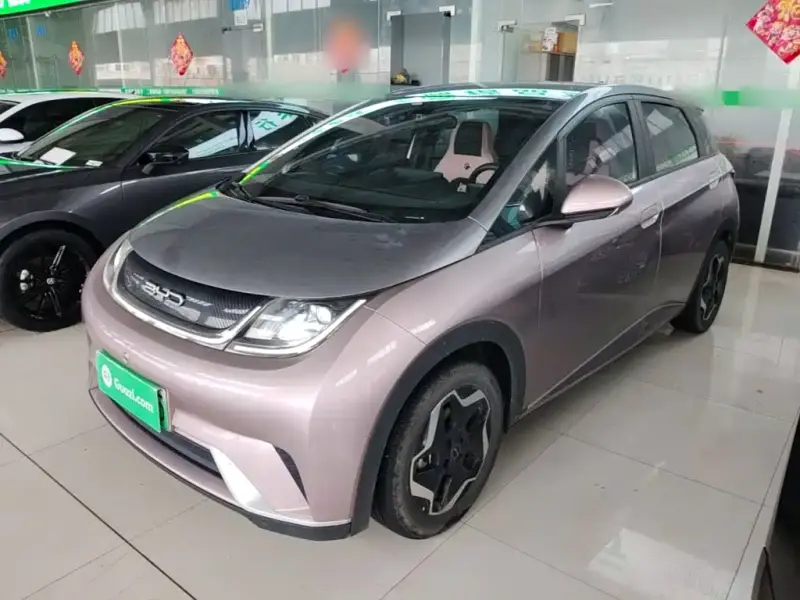 BYD Dolphin