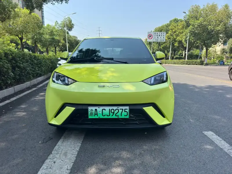 BYD Seagull