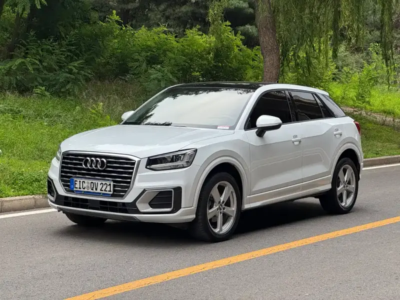 Audi Q2L