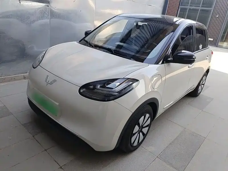 Wuling Bingo