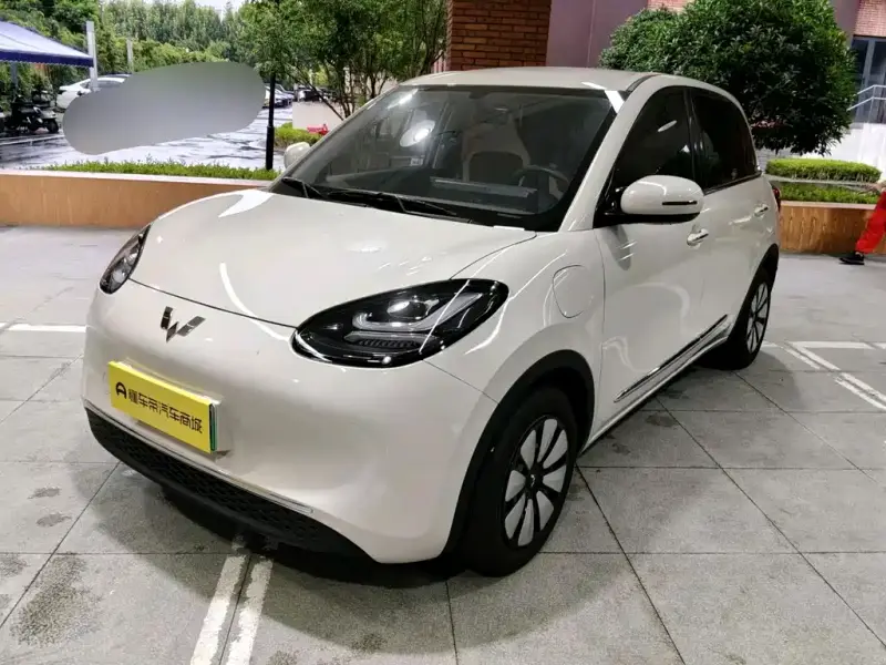 Wuling Bingo