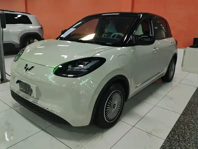 Wuling Bingo