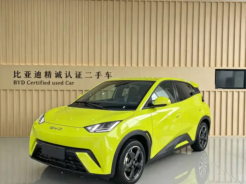 BYD Seagull