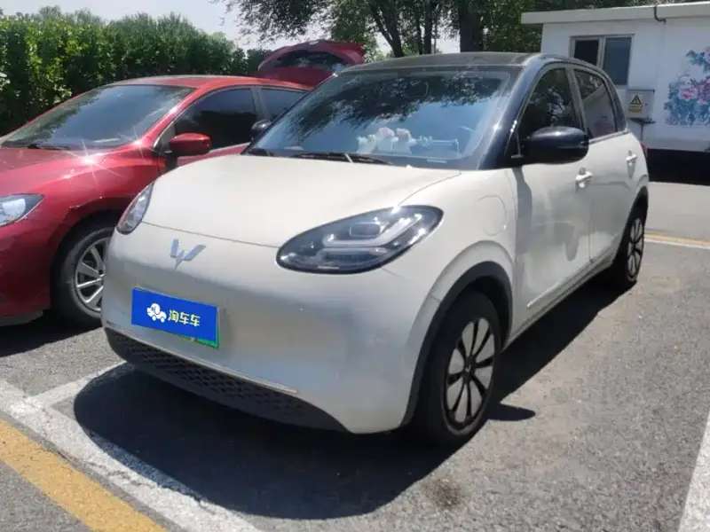 Wuling Bingo