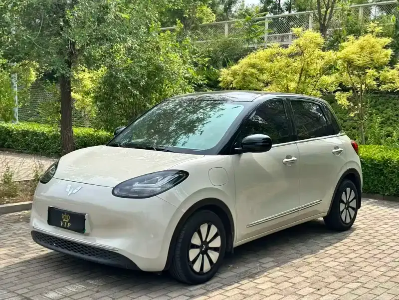 Wuling Bingo