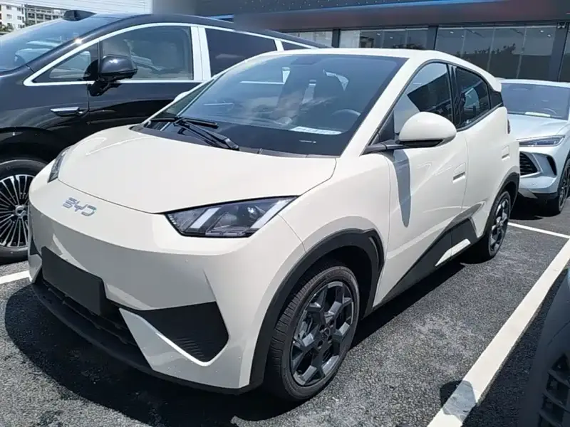 BYD Seagull