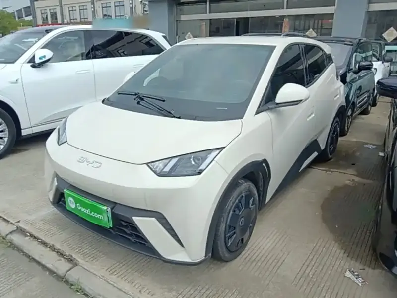 BYD Seagull