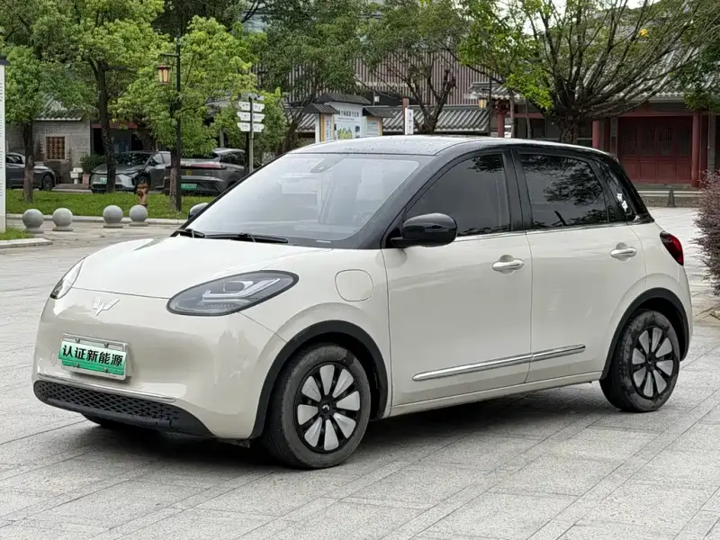 Wuling Bingo
