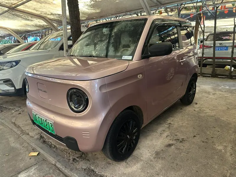 Galaxy Panda Mini (Panda)