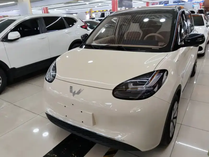 Wuling Bingo