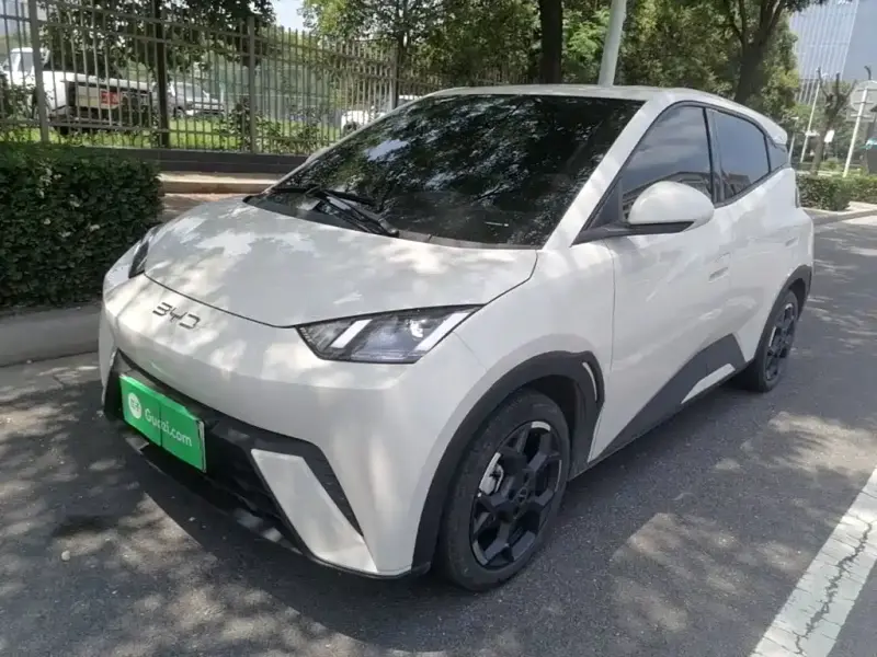 BYD Seagull