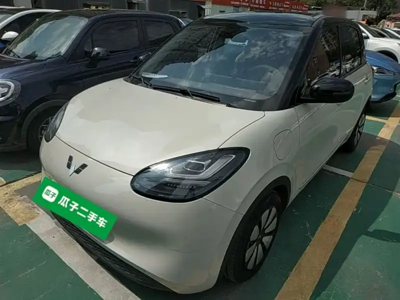 Wuling Bingo