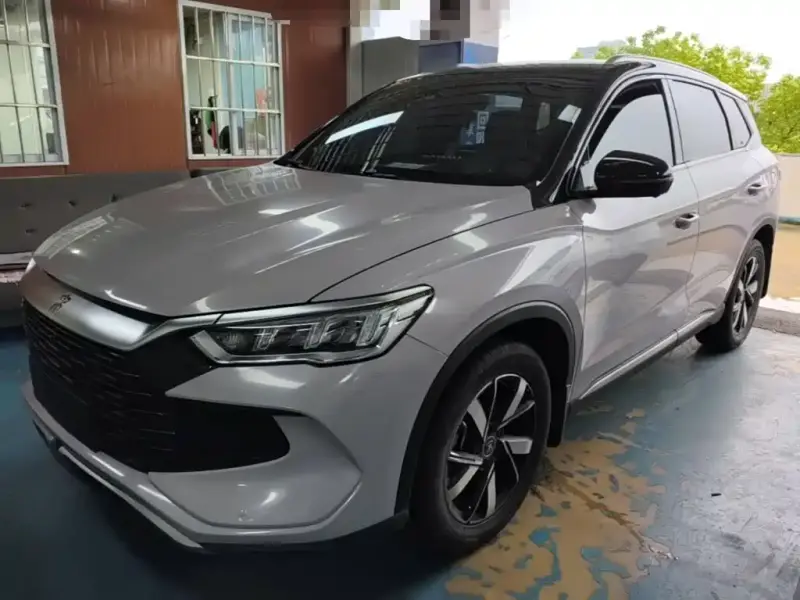 BYD Pro New Energy