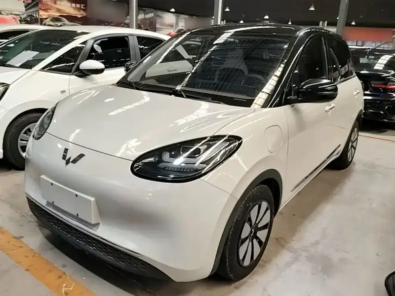 Wuling Bingo