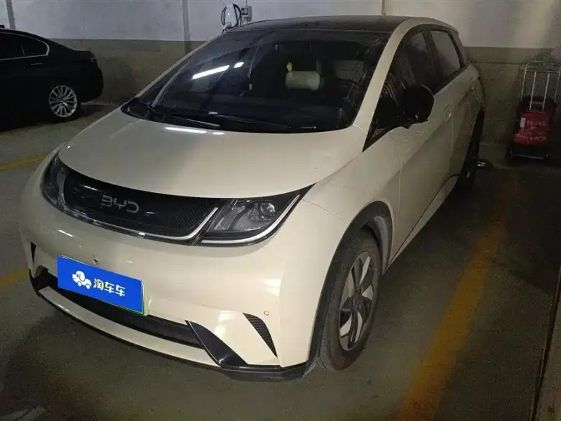 BYD Dolphin