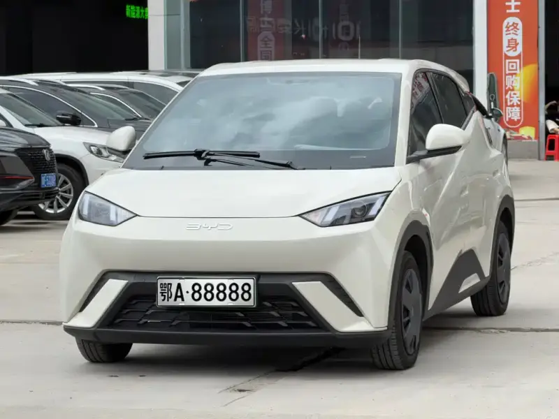 BYD Seagull