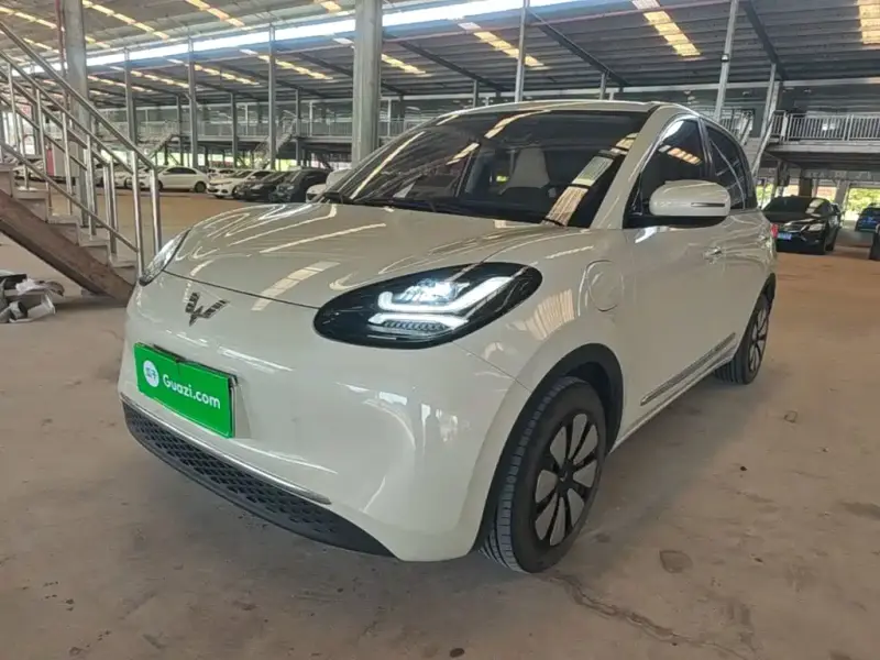 Wuling Bingo