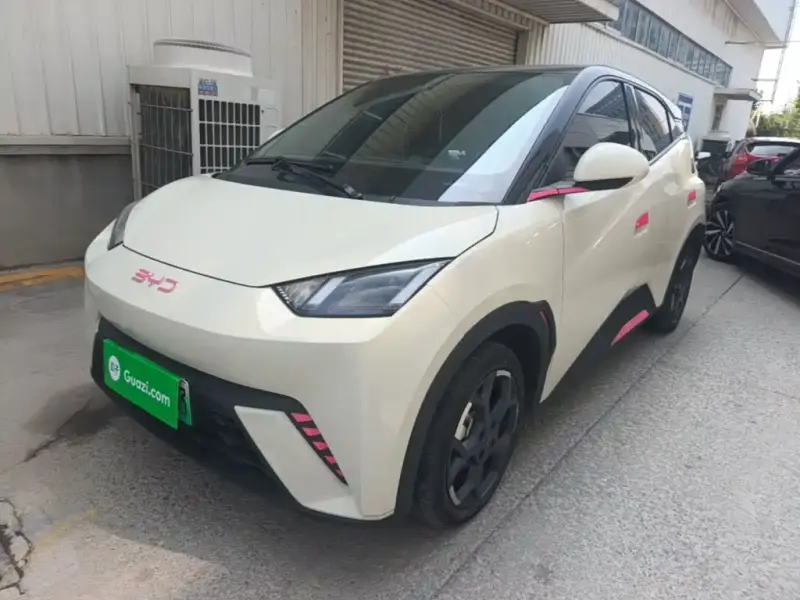 BYD Seagull