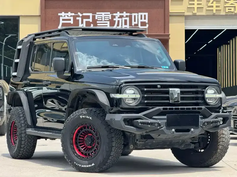 Tank 300