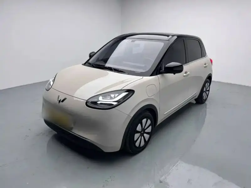 Wuling Bingo