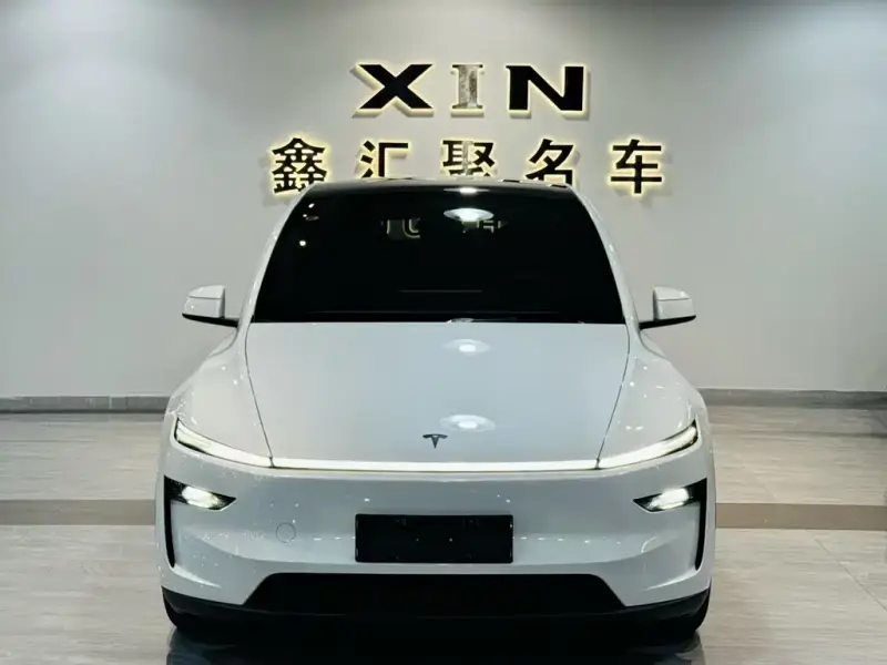 Tesla Model Y L