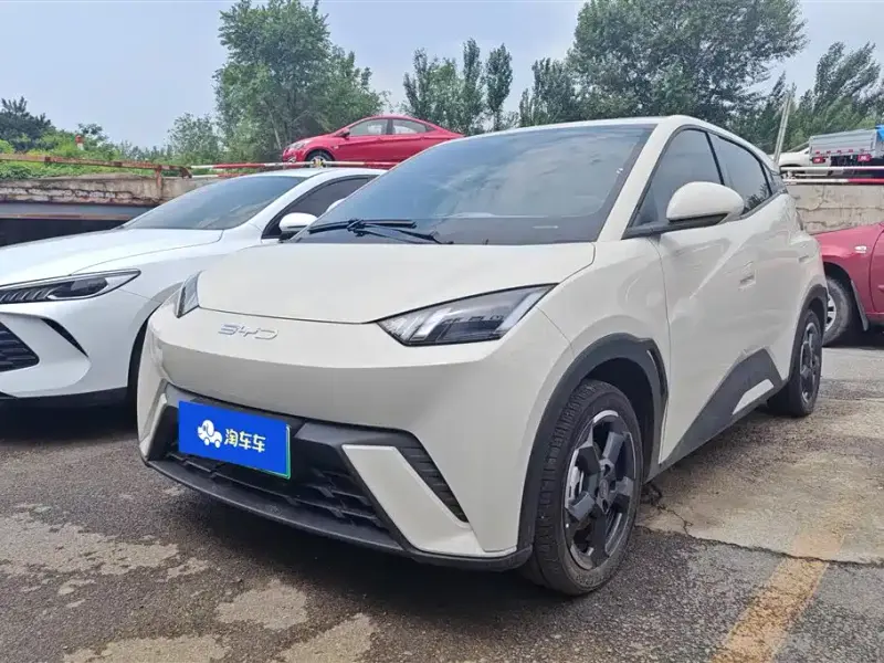BYD Seagull