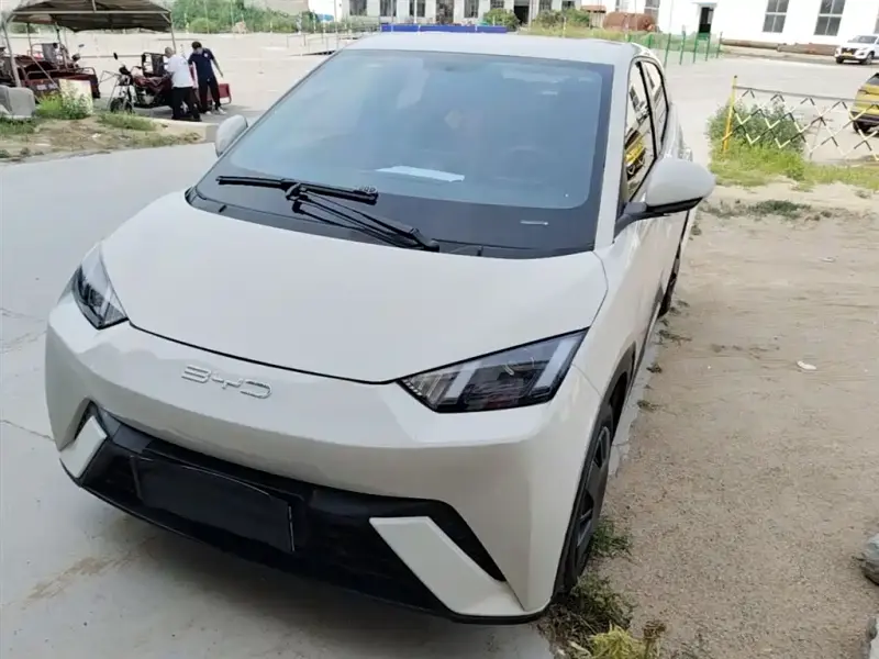 BYD Seagull