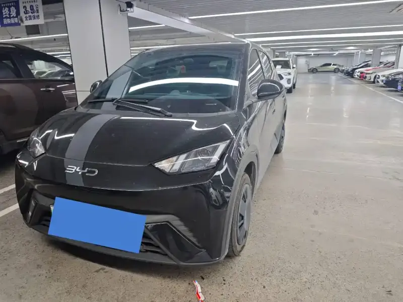BYD Seagull