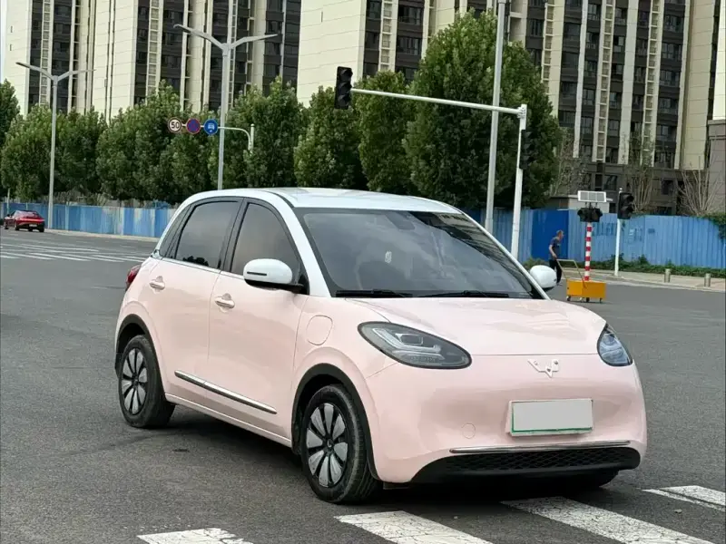 Wuling Bingo