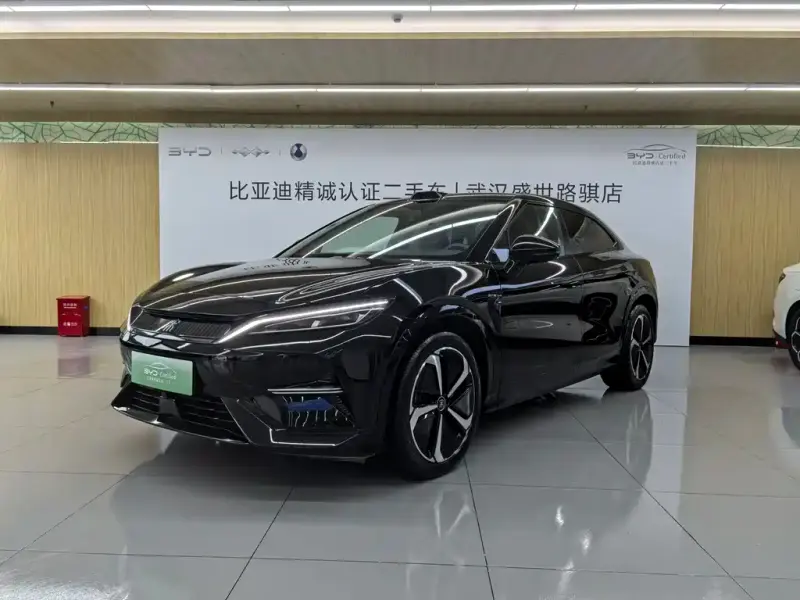 BYD L EV