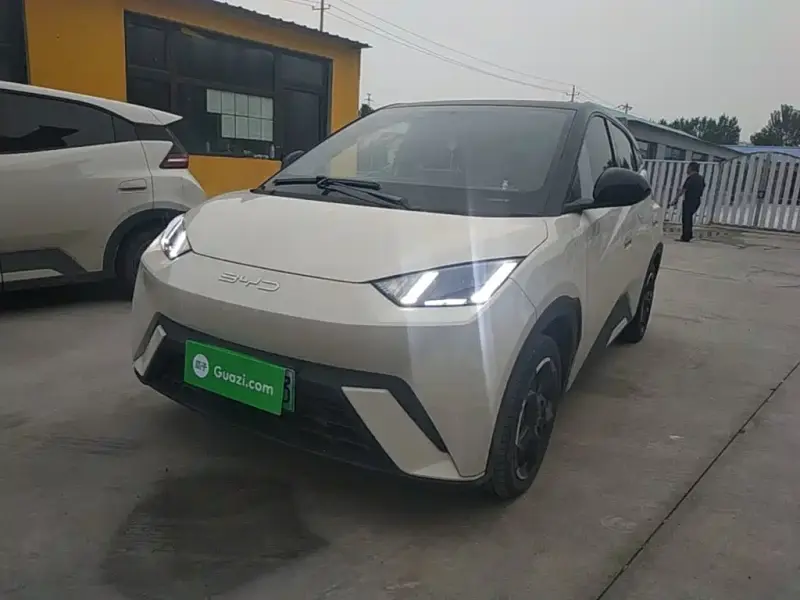 BYD Seagull