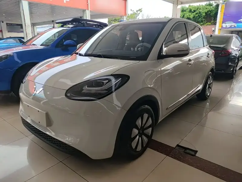 Wuling Bingo