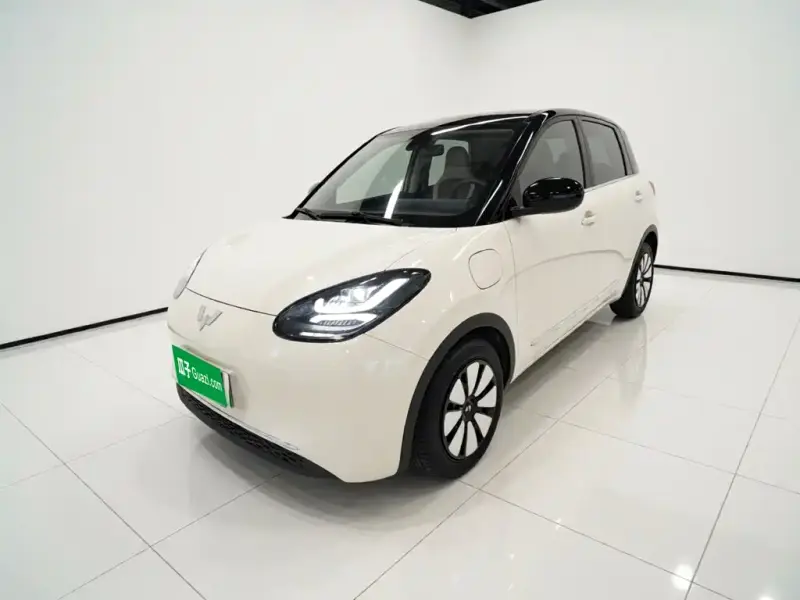 Wuling Bingo