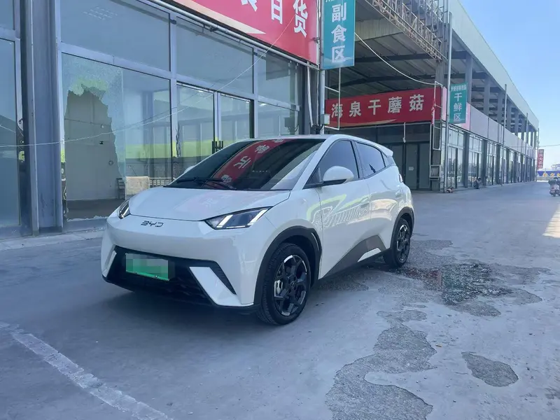 BYD Seagull