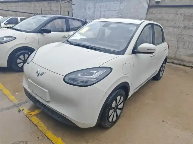 Wuling Bingo