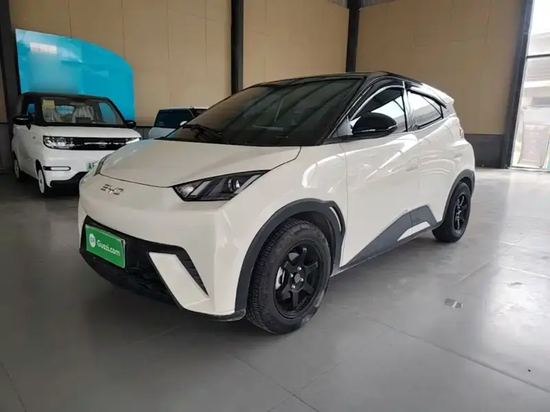 BYD Seagull