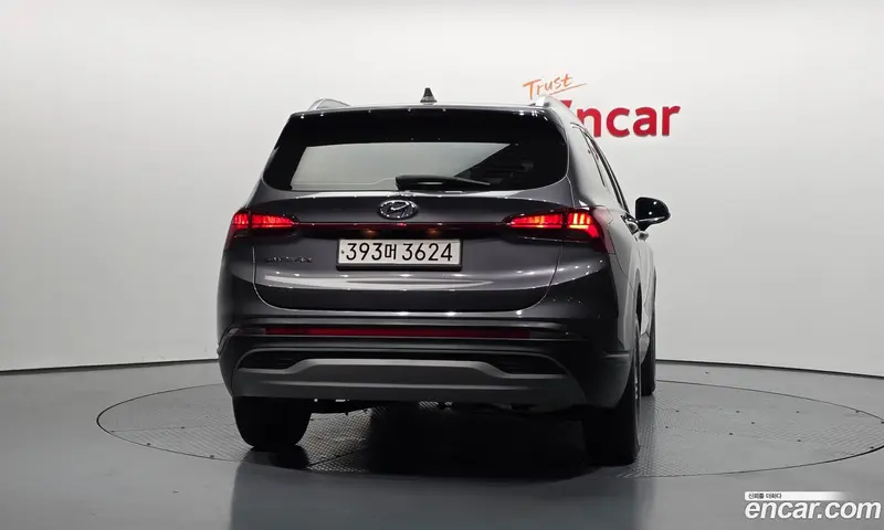 Hyundai Santa Fe (Santafe)