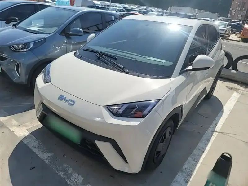 BYD Seagull