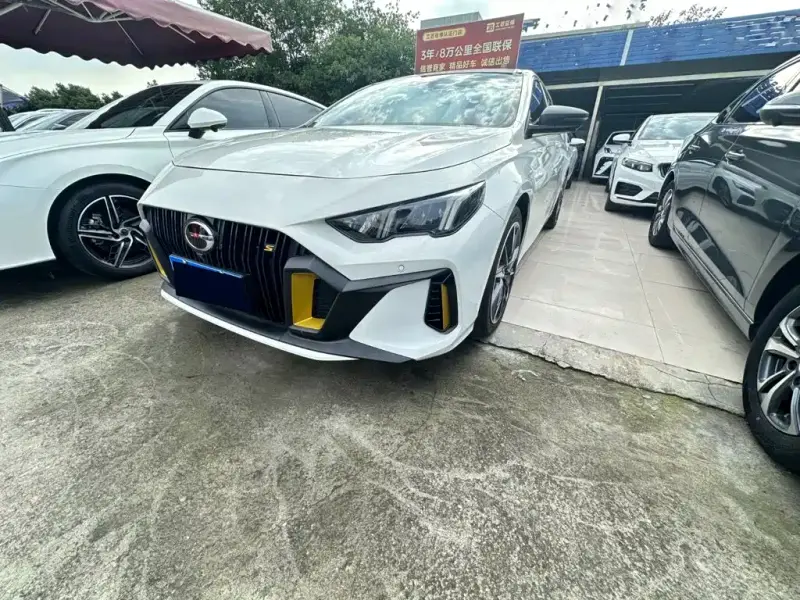 GAC Motor Empow (Shadow Leopard)
