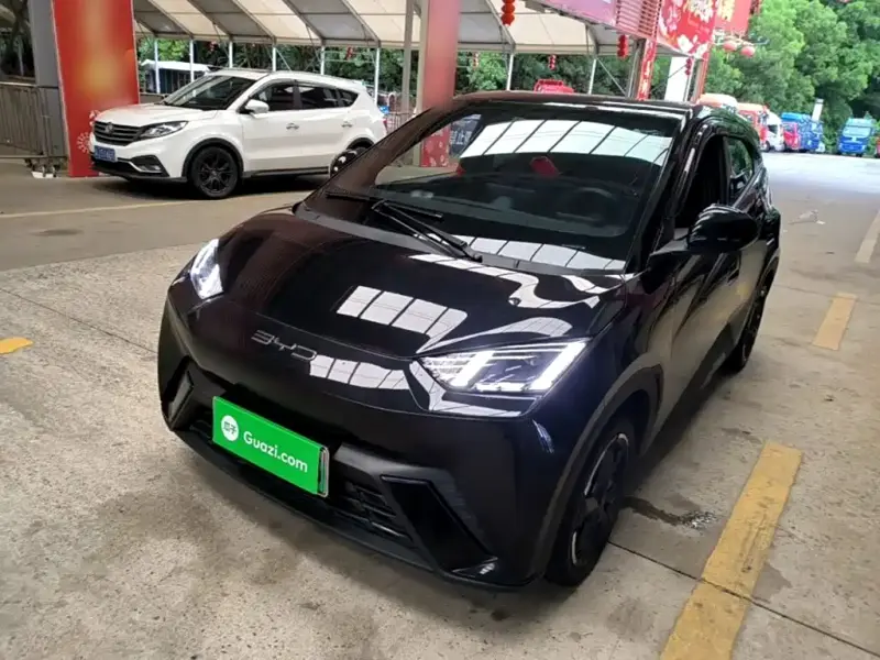 BYD Seagull