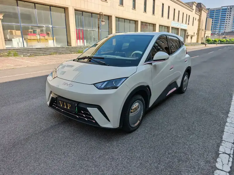 BYD Seagull