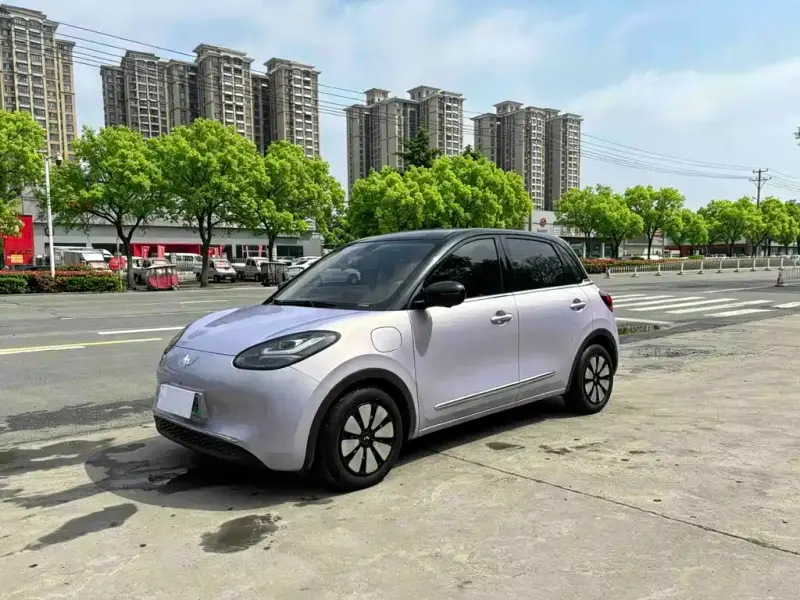 Wuling Bingo