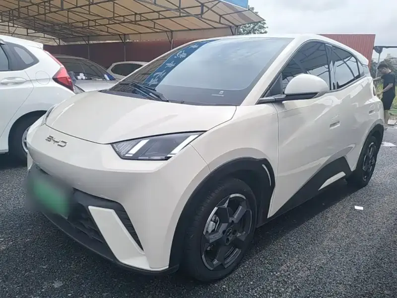 BYD Seagull