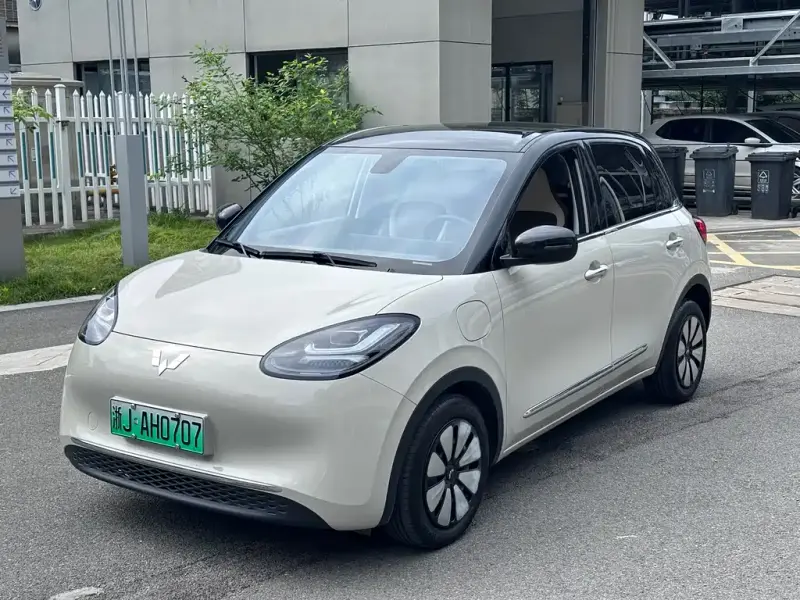 Wuling Bingo