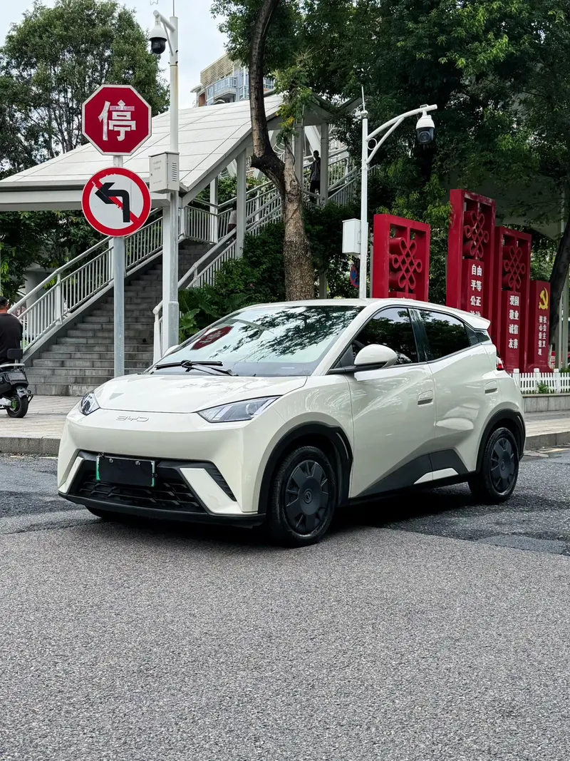 BYD Seagull