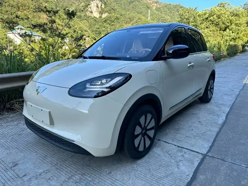 Wuling Bingo